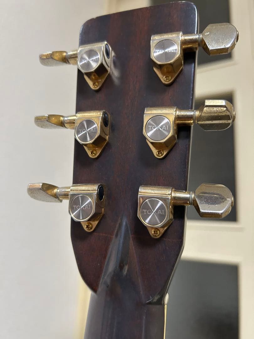 Cat's Eyes CE-500 大文字ロゴ アコースティックギター