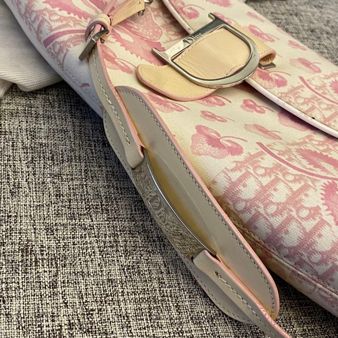 【超希少】ディオール　ピンク　トロッター　ショルダー　BON1014 フラワー