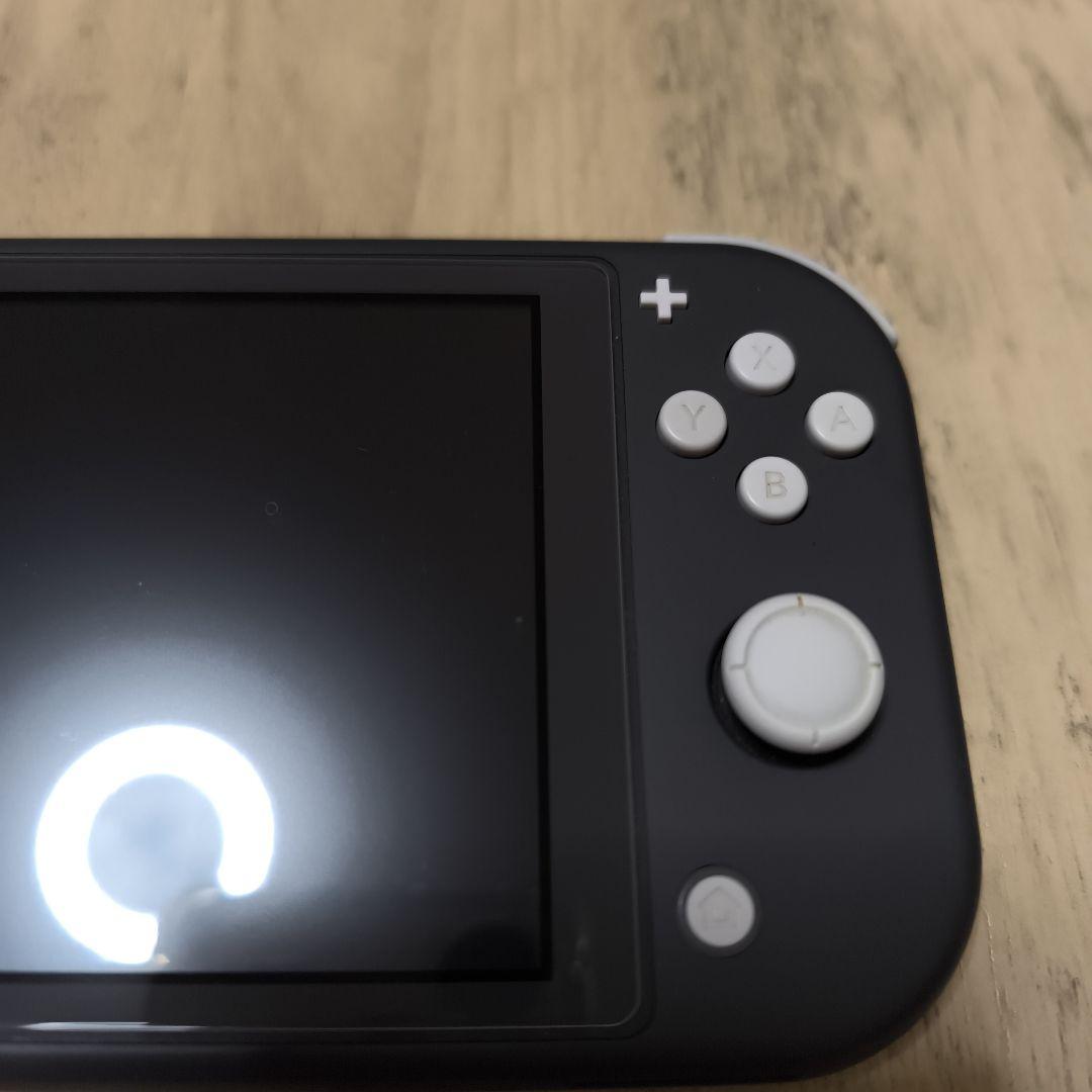 Nintendo Switch Lite グレー 本体 充電器付き