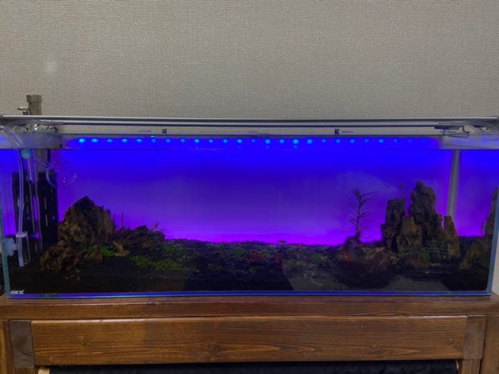 水槽セット ライト」の人気商品一覧 | 安い商品を通販サイトから探す