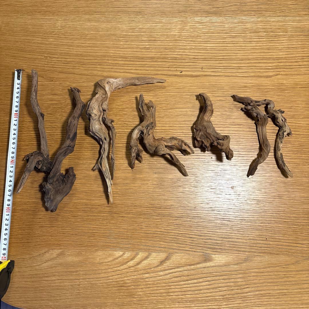 ADA流木6本（まとめ買いの場合は300円引） - メルカリ