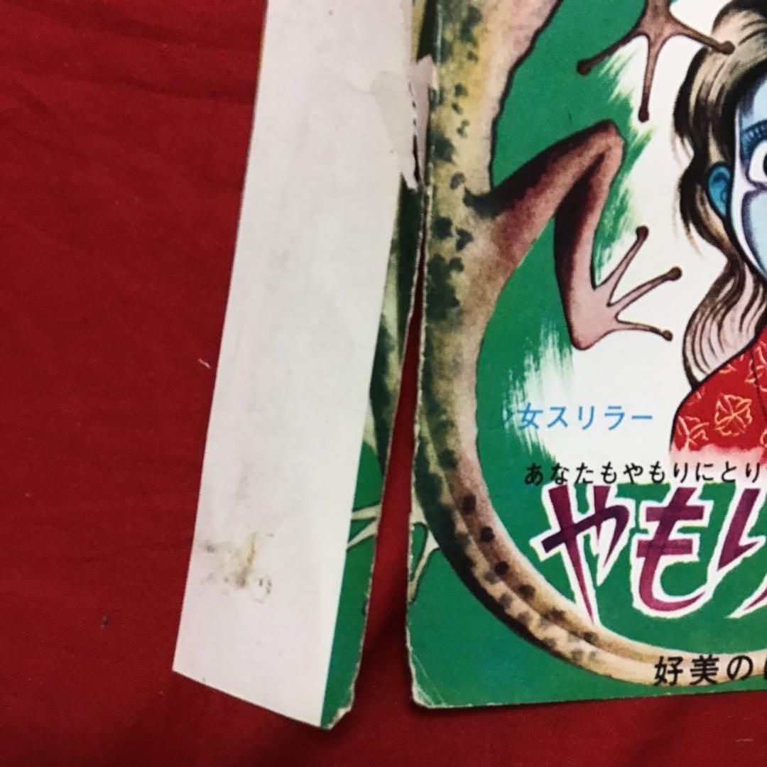 好美のぼる　少女スリラー　やもり少女　あなたもやもりにとりつかれたら？