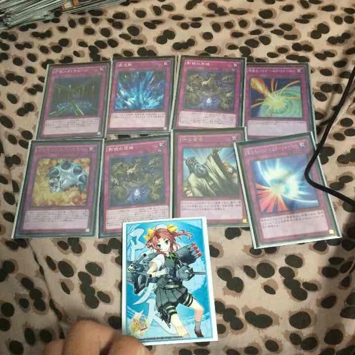 遊戯王 シャードルガチ！