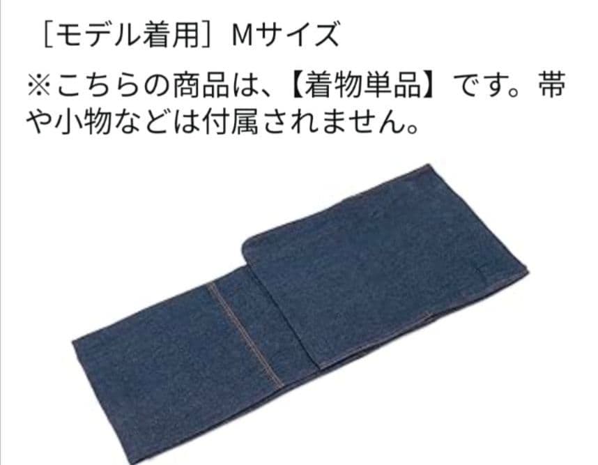 色無地 フルセット 菊 梅 地紋 難あり 練習用 シンプル 礼装 着物 I2