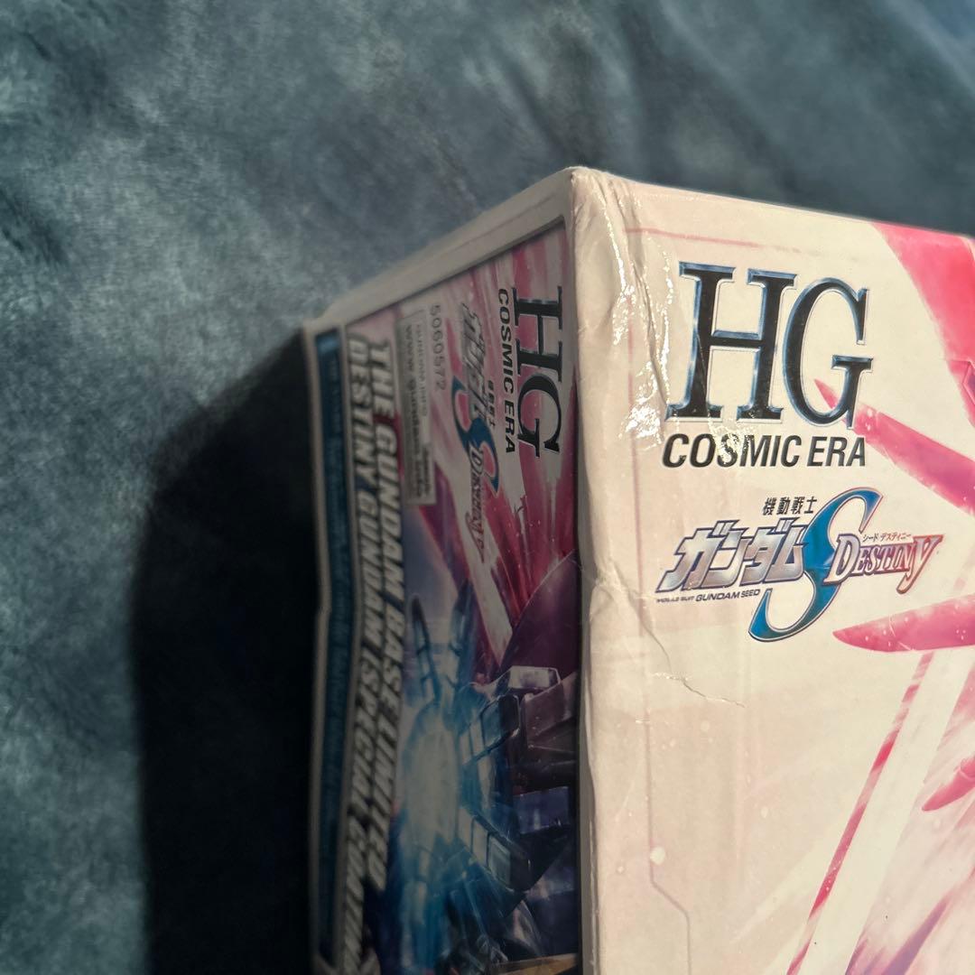 ロボット HG DESTINY GUNDAM (SPECIAL COATING)