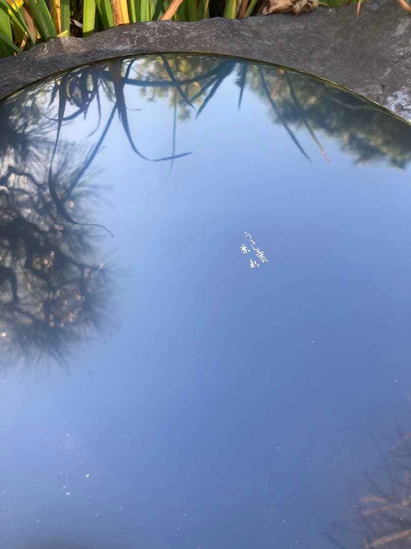 大丸 漆塗り 円形盆 黒