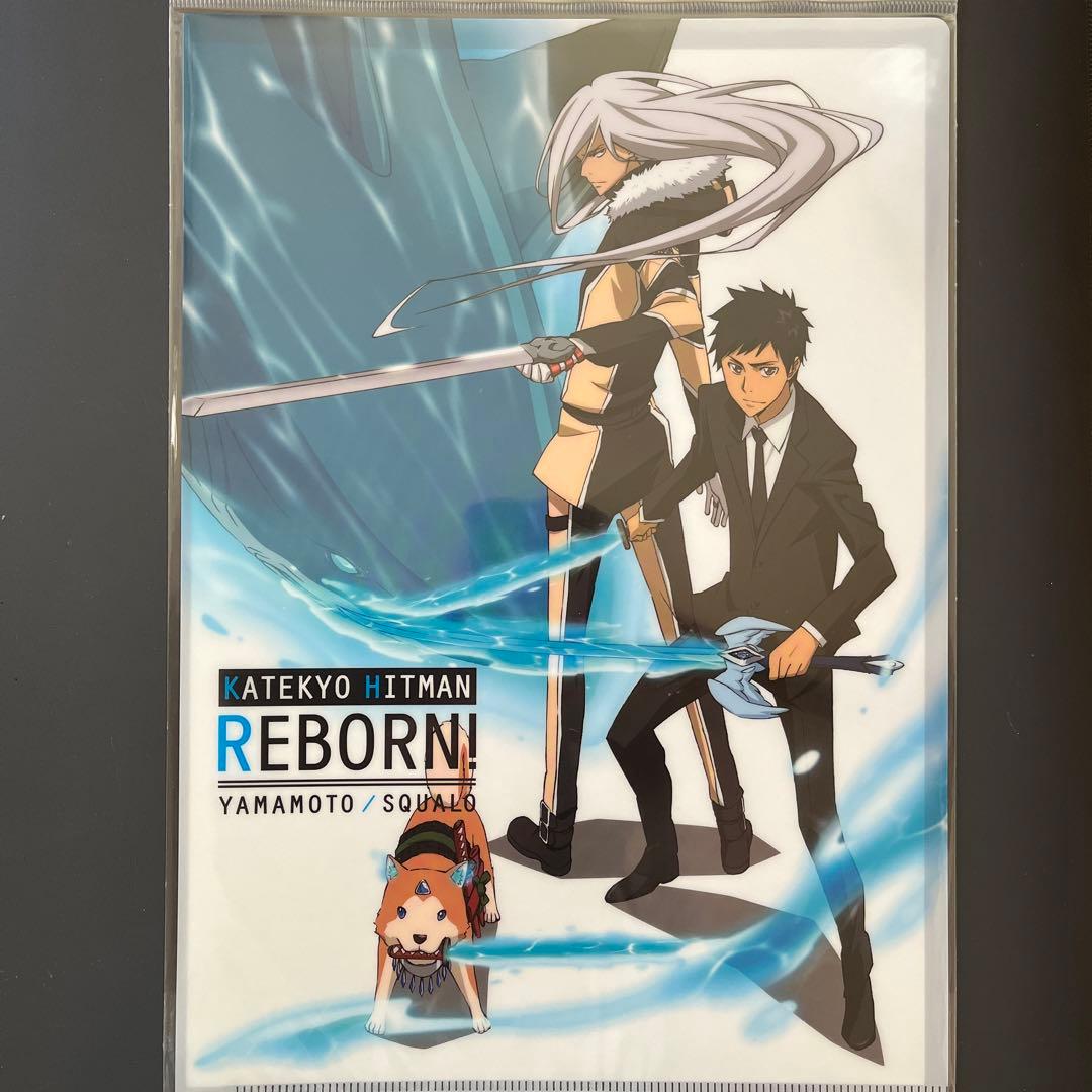 家庭教師ヒットマンREBORN！ A4クリアファイル 家庭教師ヒットマンREBORN! A4シングルクリアファイル＿フラン／英国