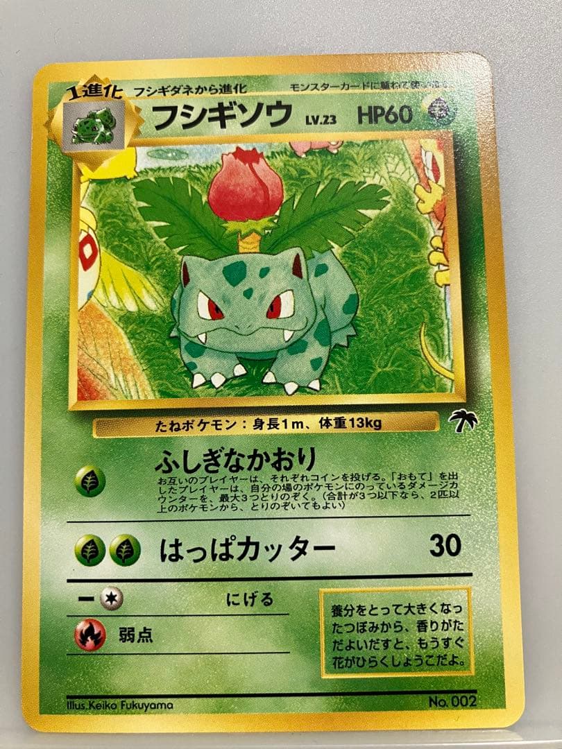 トゲピー フシギソウ　ラッタ　映画公開記念パック サザンアイランド　お花畑編