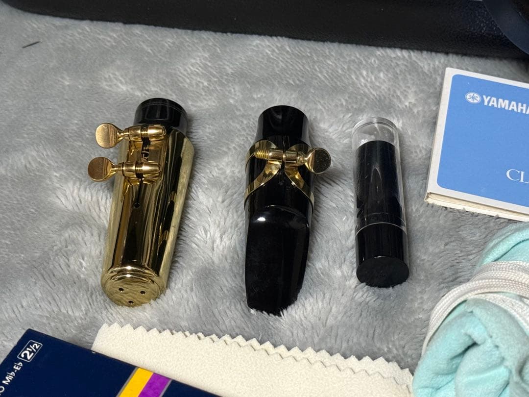 美品 トレバージェイムス アルトサックス THE HORN Revolution