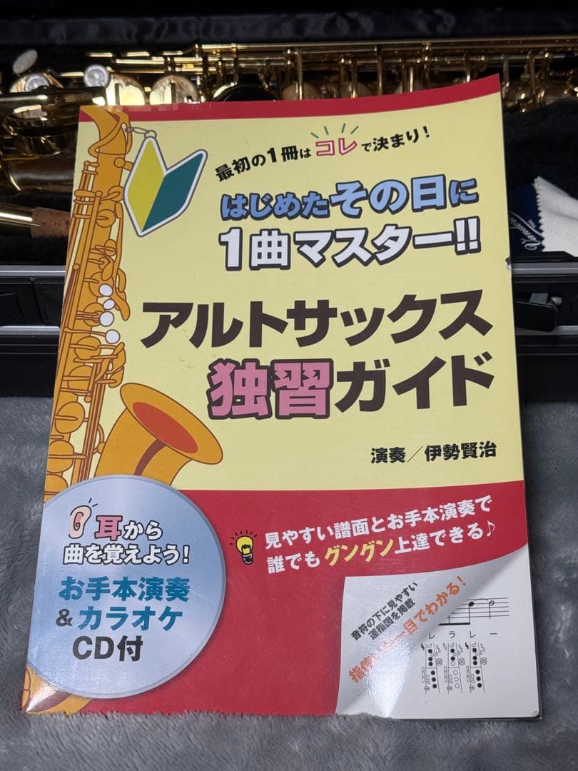 美品 トレバージェイムス アルトサックス THE HORN Revolution