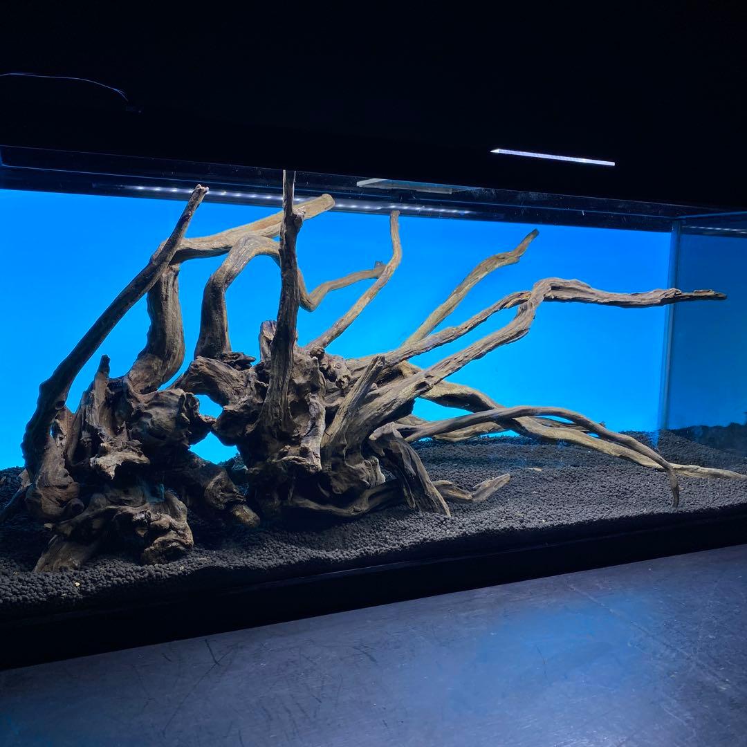 MSRW-6620 天然流木レイアウトセット スリムウッド アクアリウム