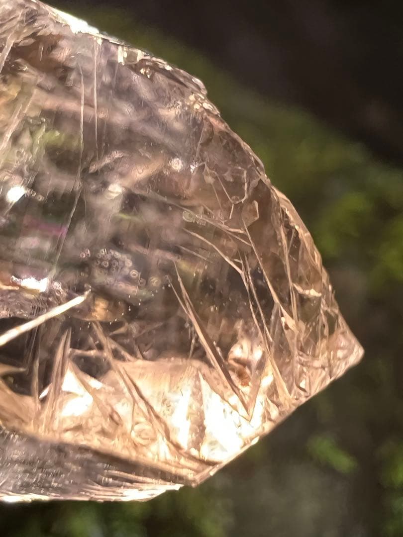 龍脈の精髄　宮崎産虹入り成長干渉煙水晶「祓いと覚醒、希望の光」【保護猫活動支援】