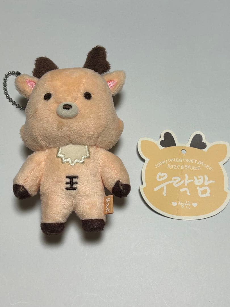 RIIZE ソンチャン ぬいぐるみ ウラクバム - メルカリ