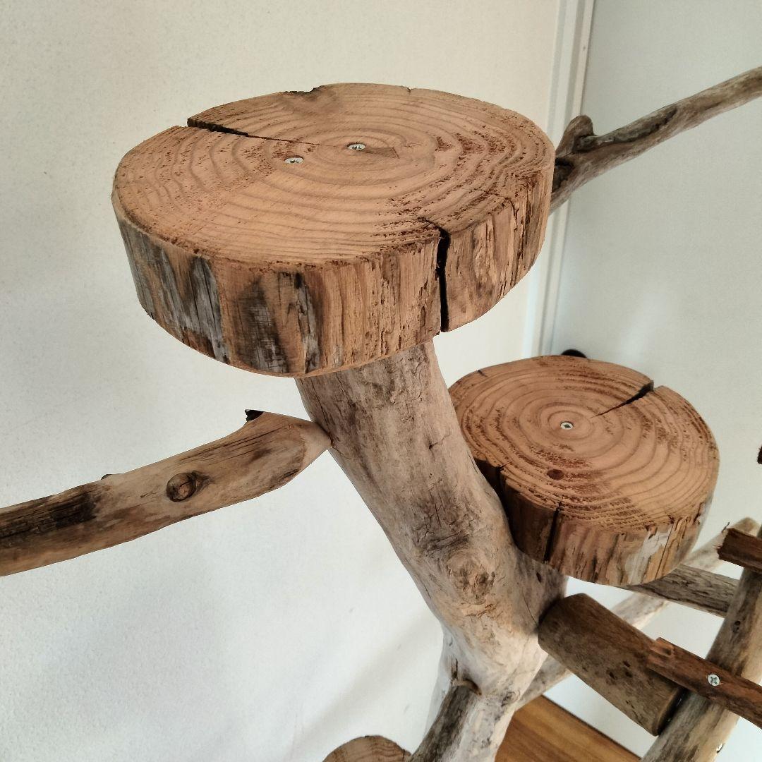 バードアスレチックジム大型 ㊹ 天然木 自然木 流木 止まり木 インコ