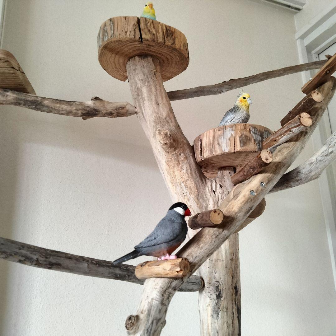 バードアスレチックジム大型 ㊹ 天然木 自然木 流木 止まり木 インコ
