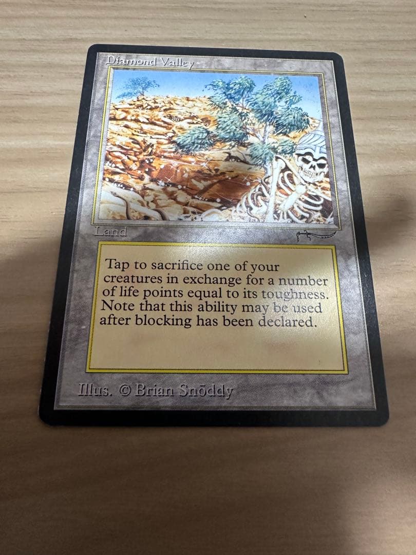 早い者勝ち特価 Diamond Valley 英語 mtg 引退 格安提供