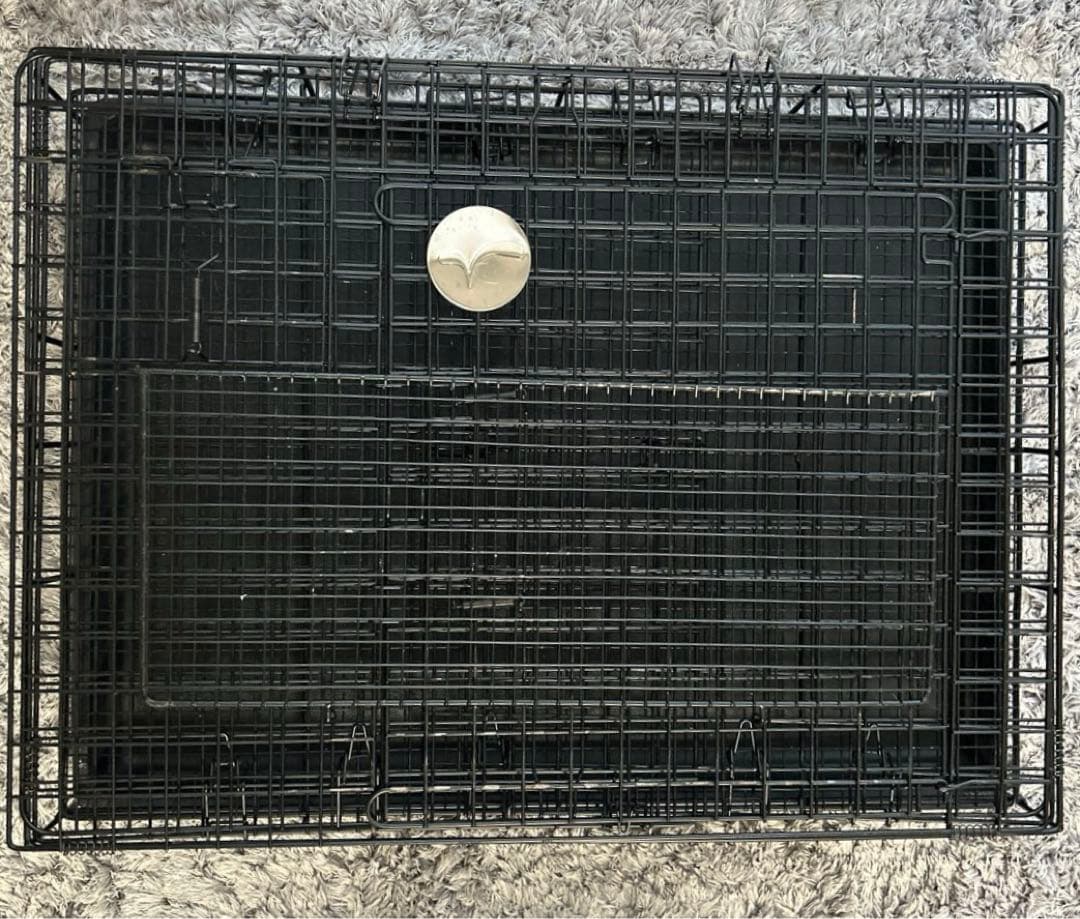 うさぎのしっぽ プロケージ60 ブラック - メルカリ