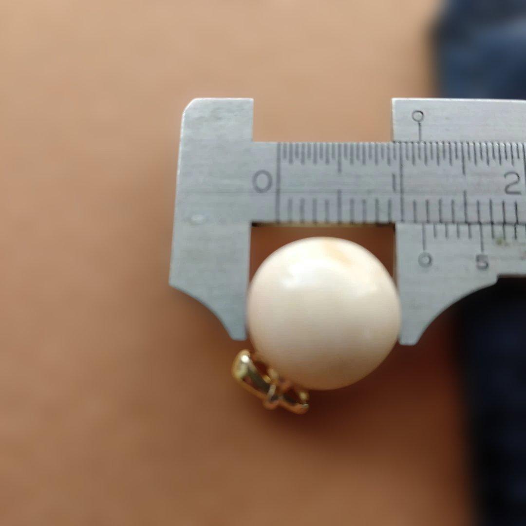 鯨歯 マッコウクジラ 牙玉ペンダントトップ 11.5㎜ ⑤ - メルカリ