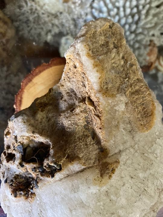 水晶 クラスター 鑑賞石 原石 美術品・アンティーク・コレクション