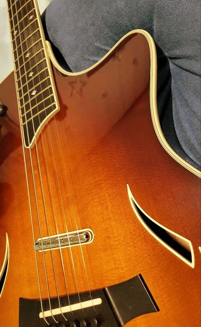 Taylor guiter T5　ハードケース付