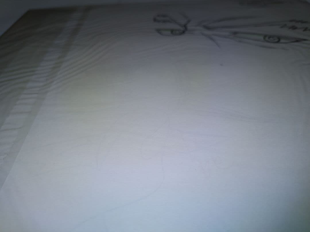 セル画 HUNTER X HUNTER 幻影旅団　蜘蛛　ハンターハンター　sel