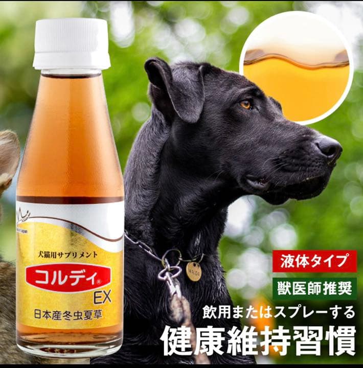 コルディEX 2本 モノリス コルディG 100g スプーン付き✕2個 日本産