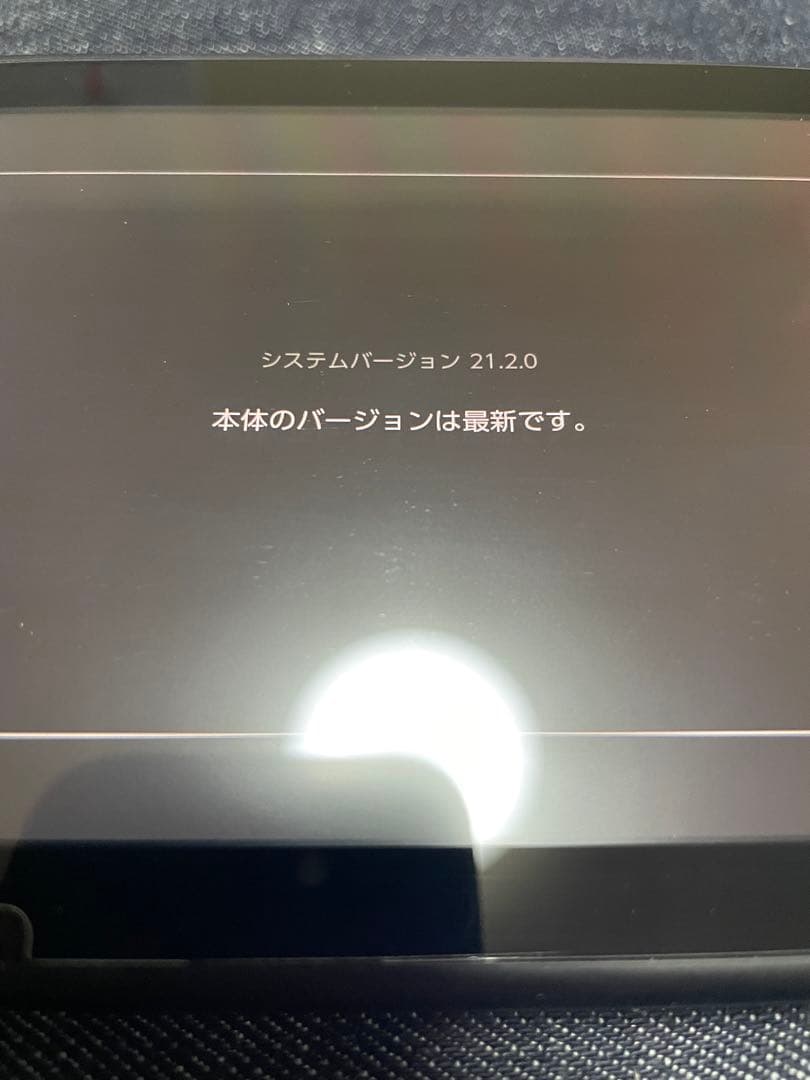 Nintendo Switch 動作確認済み　付属品有り