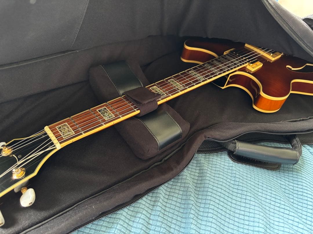 Ibanez AS93 FM （※リアピックアップ難あり！）