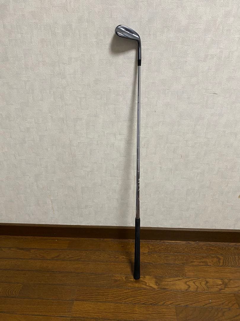 poiray 純正アリゲーター クロコ 腕時計バンド 142mm ローズ ワイン