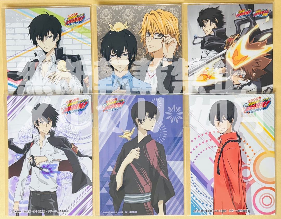 希少 家庭教師ヒットマンREBORN リボアニ ポストカード 雲雀恭弥 家庭