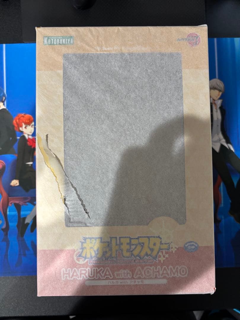 【未開封】ポケモン ハルカ with アチャモ フィギュア ポケットモンスター