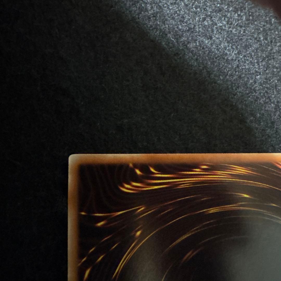 ナチュルビースト DTCシク