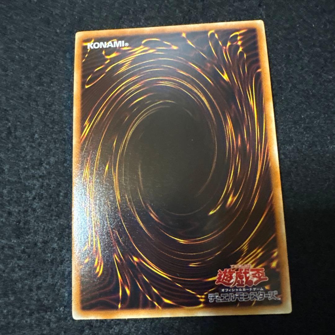 ナチュルビースト DTCシク