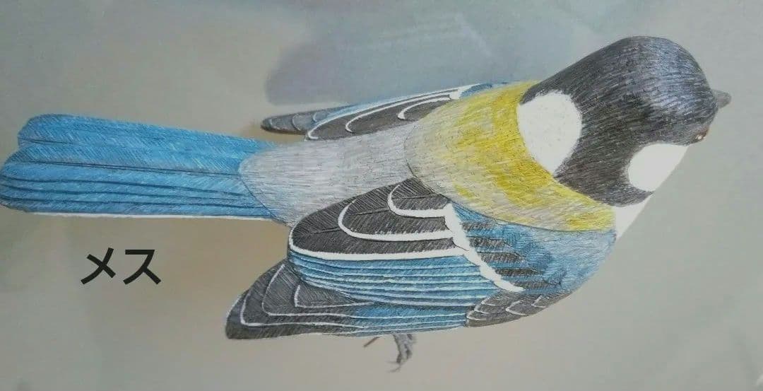 バードカービング シジュウカラ オス、メス