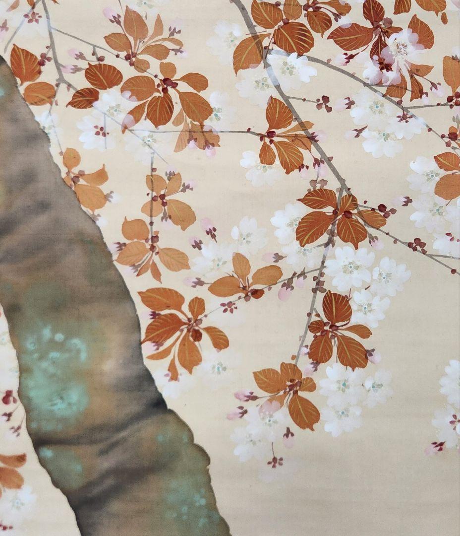 桜花図】土居竹塘 2710 サクラ 春掛け 掛け軸 肉筆