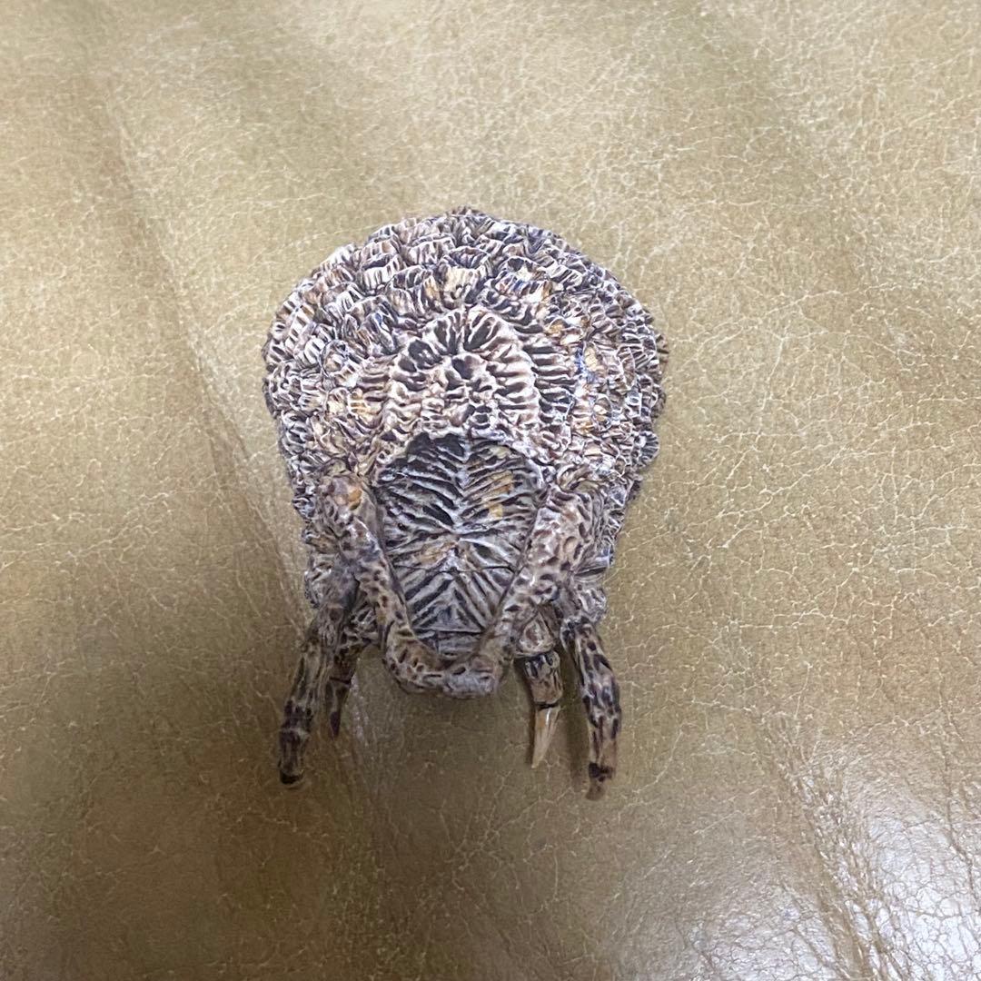 ホットトイズ ファルコナープレデター 1/6