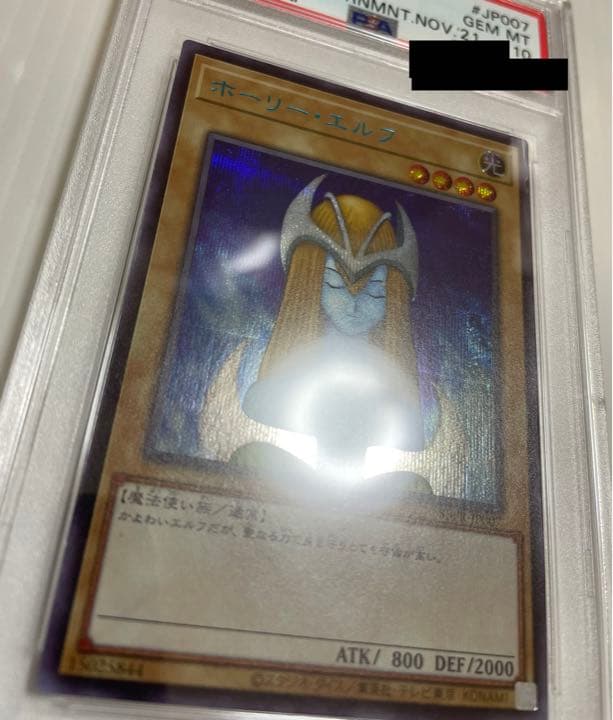 【PSA10】ホーリーエルフ ブルシク ブルーシークレット BGS ARS