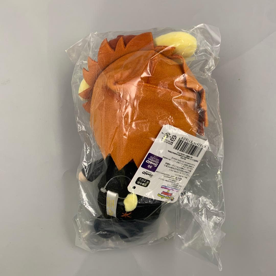 家庭教師ヒットマンREBORN!サンリオ　ぬいぐるみ　沢田綱吉