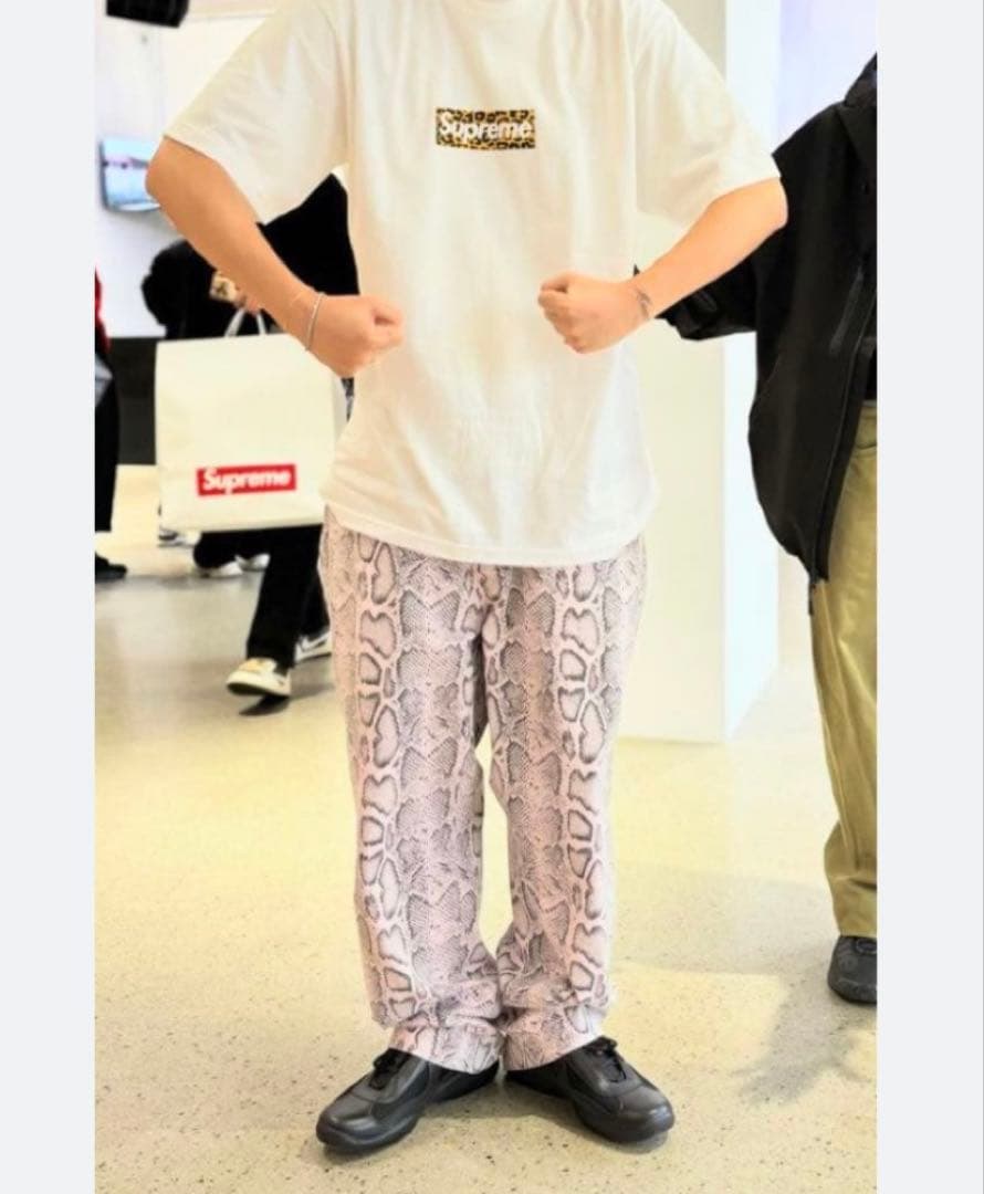 Supreme 24SS Snake Print Chino Pant スネーク