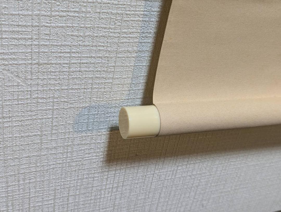 【真作】掛軸　元宗銘　木蓮と小鳥　春の訪れ　さえずる春景色　　Q84