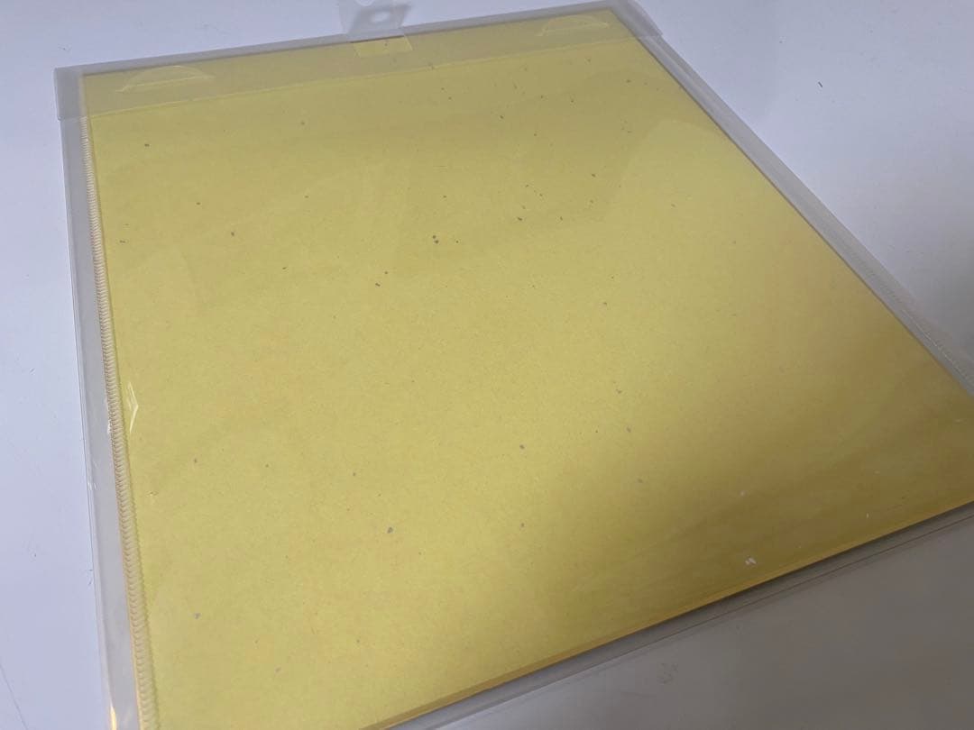 第五人格　写真家　TOKYO neo 色紙　さくしゃ2