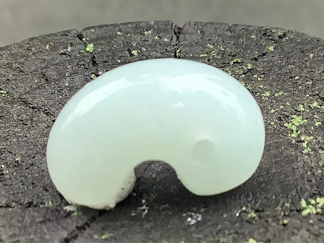 ✳極上品‼️ 糸魚川翡翠氷アイスジェイド 天授の勾玉をお身近に