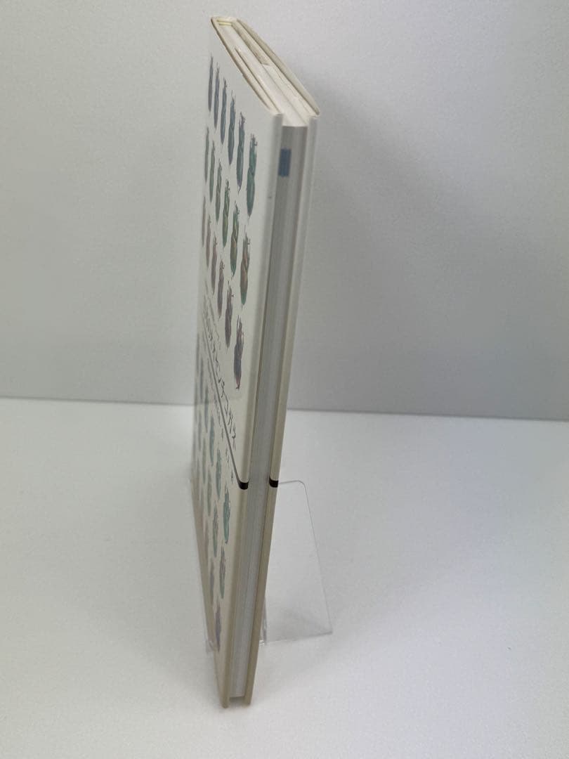 【むし社】日本のオオセンチコガネ