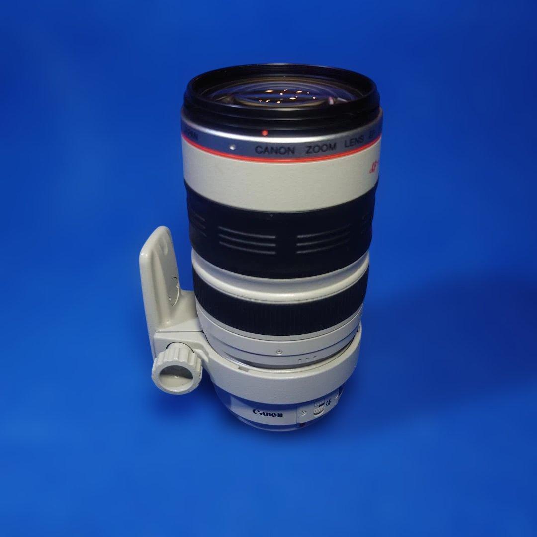 訳あり】Canon Zoom EF35-350mm f/3.5-5.6L