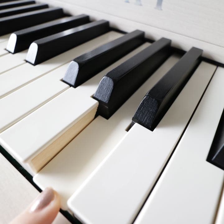 安い 【直接引取可◎】カワイ KAWAI 電子ピアノ CA67A 直接引取可