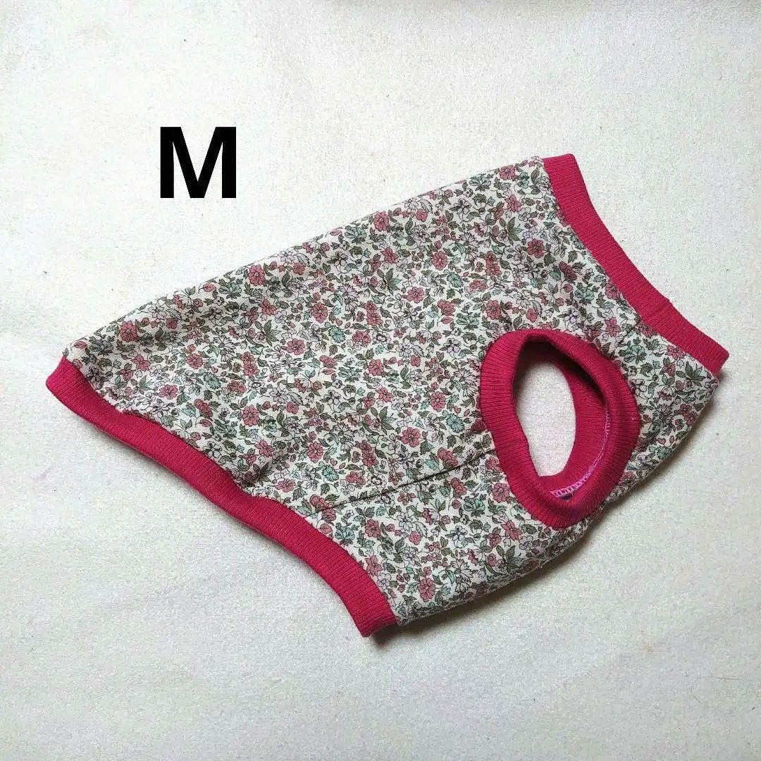 犬服 SS わんこの普段着マリン