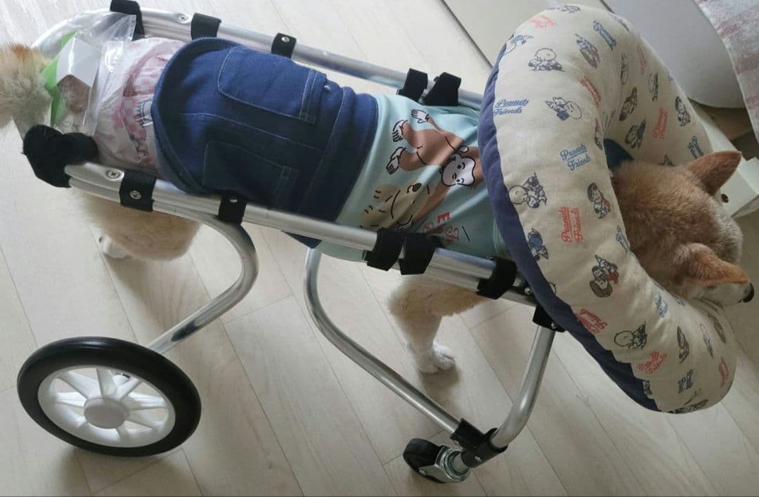 犬用車いす 4輪 ポチの車椅子 犬用車椅子(ポチの車イス)4輪 介護