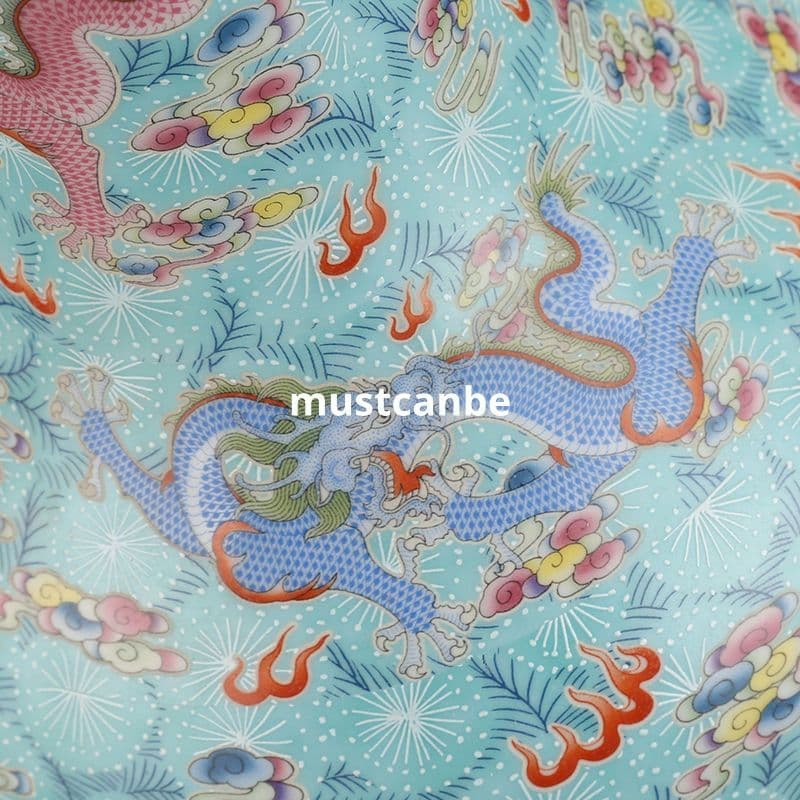 清雍正琺瑯彩竜紋帯夜光賞瓶 景徳鎮 陶磁器 装飾品