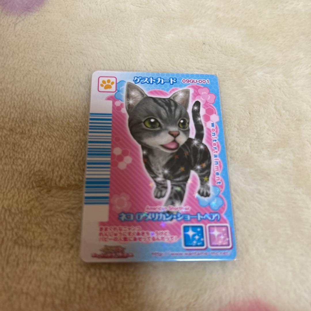 ワンタメ　カード　m＊プロフ必読様確認用