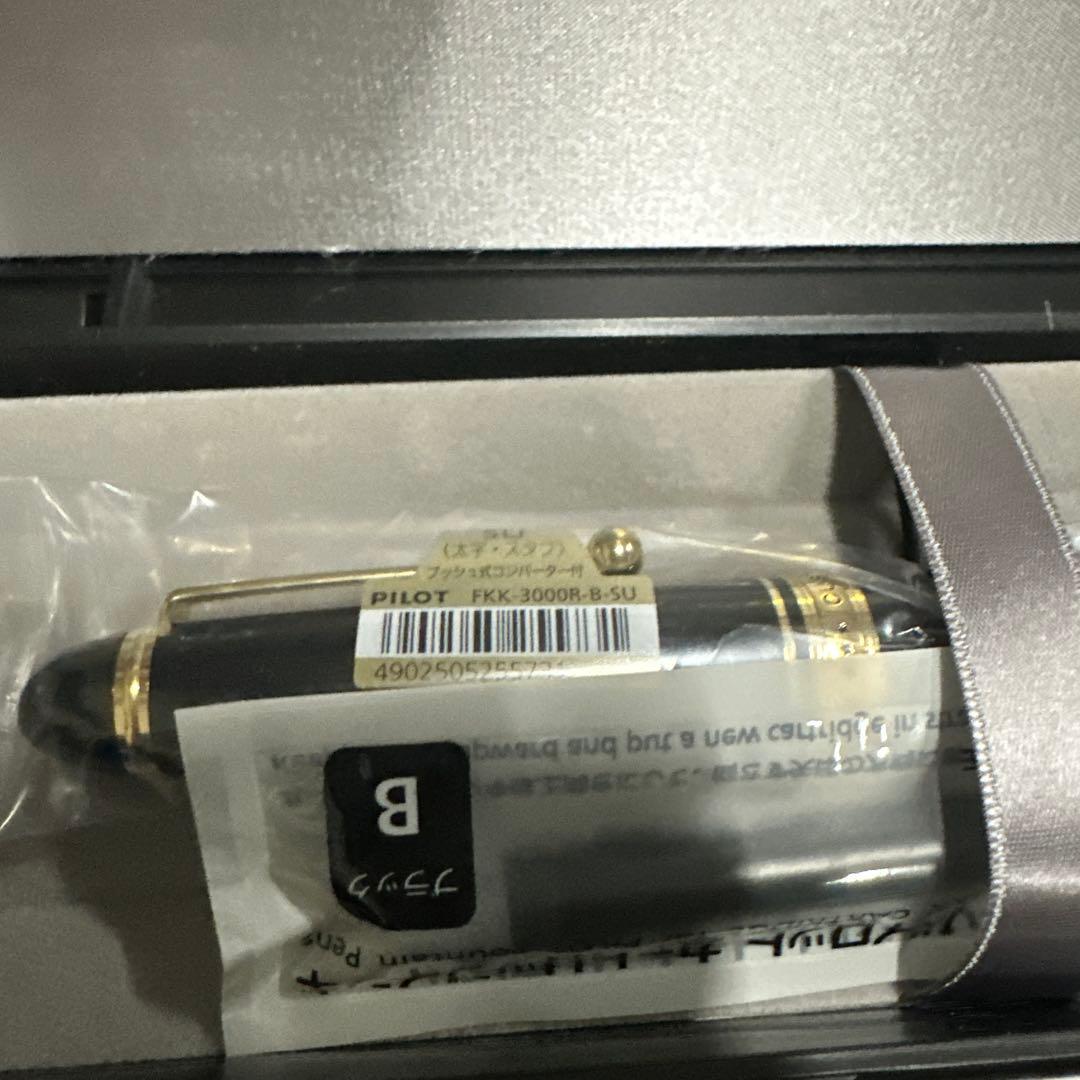 PILOT 万年筆 マンネンヒツ カスタム743 FKK3000RBSU